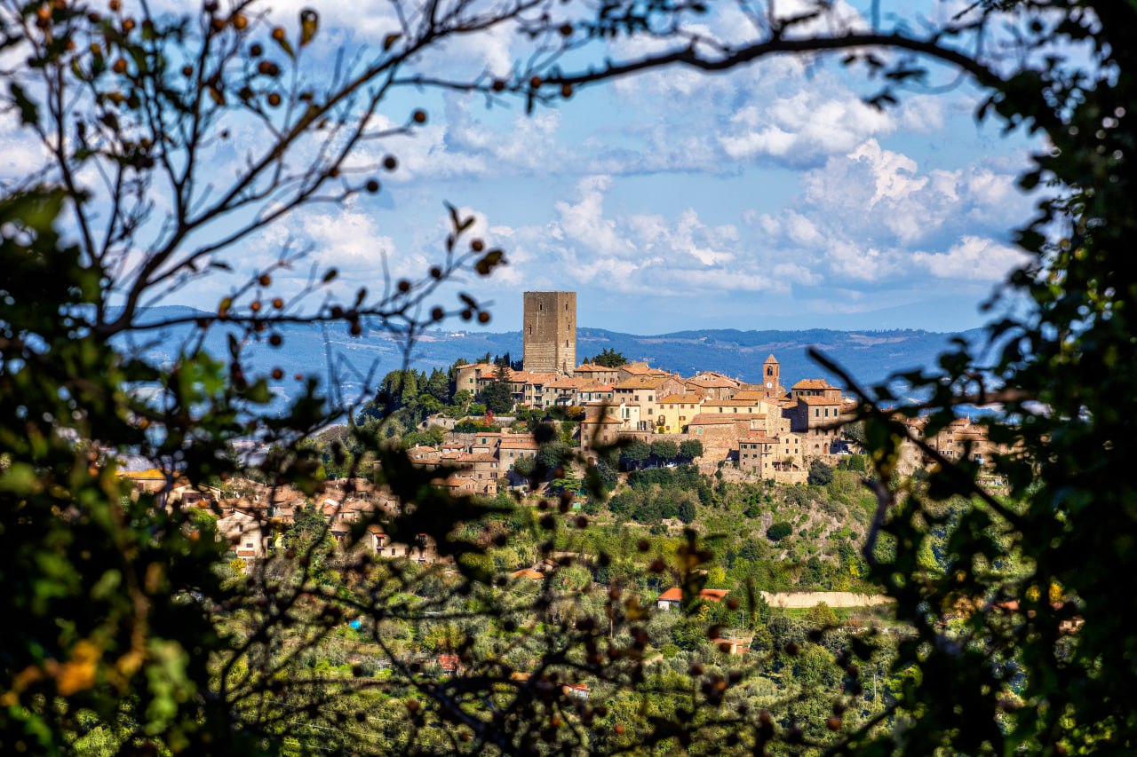 Montecatini Val di Cecina tra i rami degli alberi.