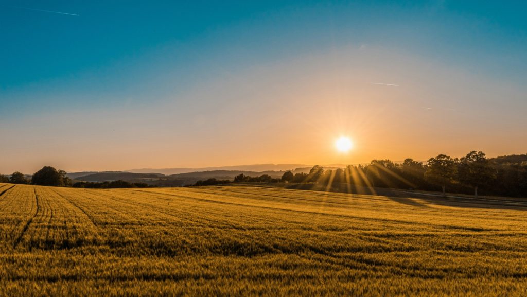 Il paese dei suoi agricoltori